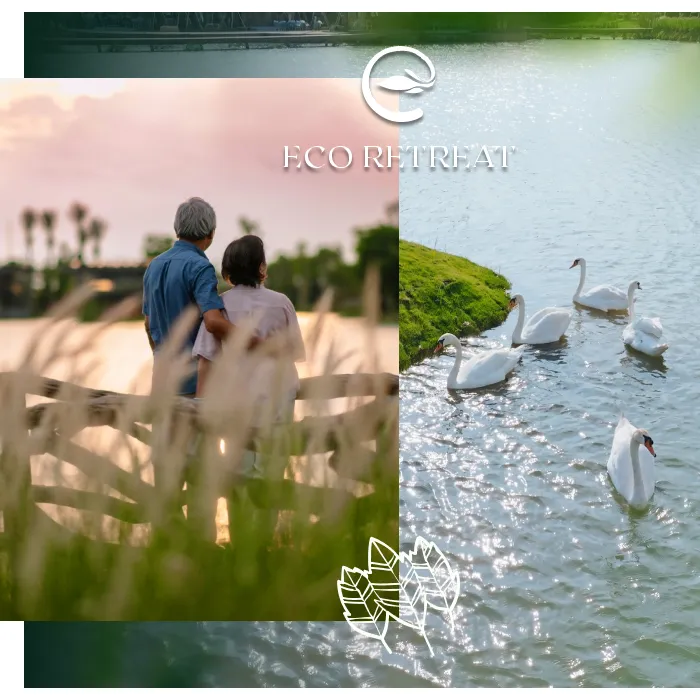 Không gian hồ nước có đàn thiên nga tại Eco Retreat mang cảm giác nghỉ dưỡng thư thái